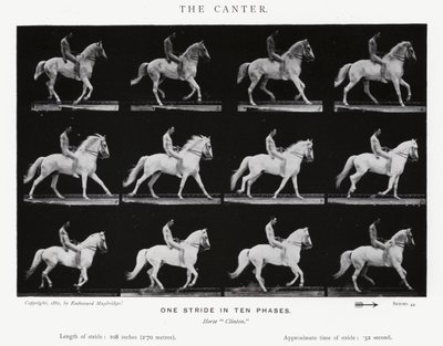 エドワード・マイブリッジカンタ（モノクロ写真 作： Eadweard Muybridge