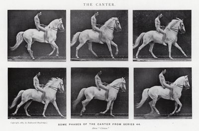 エドワード・マイブリッジカンタ（モノクロ写真 作： Eadweard Muybridge