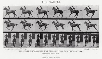 エドワード・マイブリッジカンタ（モノクロ写真 作： Eadweard Muybridge