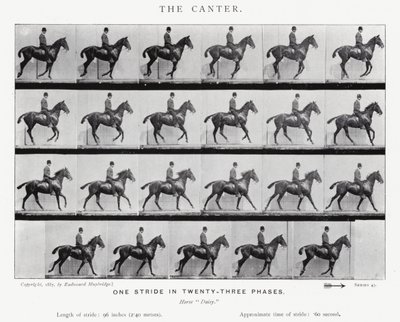 エドワード・マイブリッジ：キャンター 作： Eadweard Muybridge