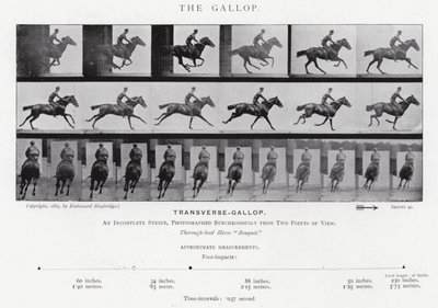 エドワード・マイブリッジギャロップ」（モノクロ写真 作： Eadweard Muybridge