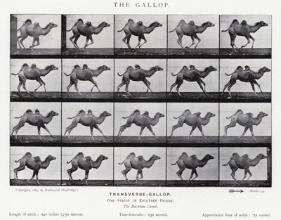 エドワード・マイブリッジギャロップ」（モノクロ写真 作： Eadweard Muybridge
