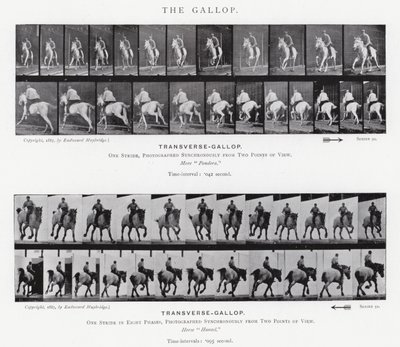 エドワード・マイブリッジギャロップ」（モノクロ写真 作： Eadweard Muybridge