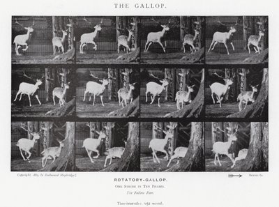 エドワード・マイブリッジギャロップ」（モノクロ写真 作： Eadweard Muybridge
