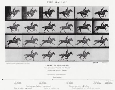 エドワード・マイブリッジギャロップ」（モノクロ写真 作： Eadweard Muybridge
