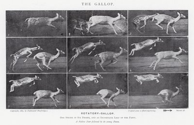 エドワード・マイブリッジギャロップ」（モノクロ写真 作： Eadweard Muybridge
