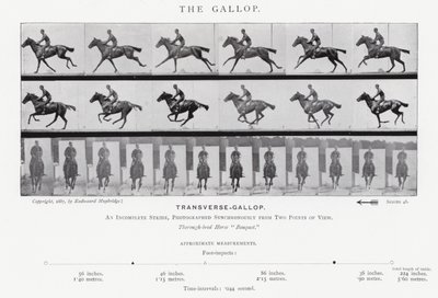 エドワード・マイブリッジギャロップ」（モノクロ写真 作： Eadweard Muybridge