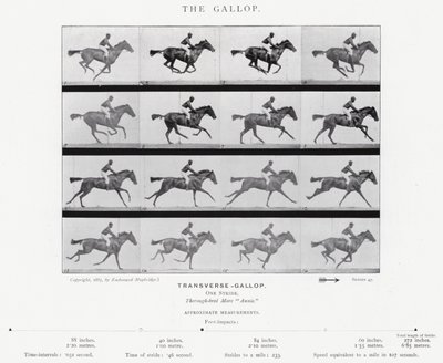 エドワード・マイブリッジギャロップ」（モノクロ写真 作： Eadweard Muybridge