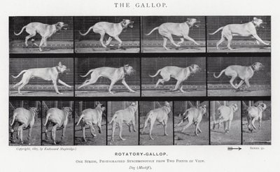 エドワード・マイブリッジギャロップ」（モノクロ写真 作： Eadweard Muybridge