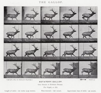 エドワード・マイブリッジギャロップ」（モノクロ写真 作： Eadweard Muybridge