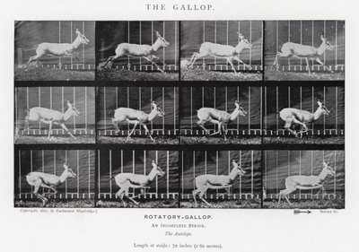 エドワード・マイブリッジギャロップ」（モノクロ写真 作： Eadweard Muybridge