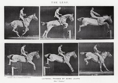 エドワード・マイブリッジ跳躍」（モノクロ写真 作： Eadweard Muybridge