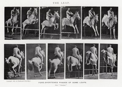 エドワード・マイブリッジ跳躍」（モノクロ写真 作： Eadweard Muybridge
