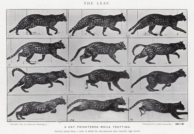 エドワード・マイブリッジ跳躍」（モノクロ写真 作： Eadweard Muybridge