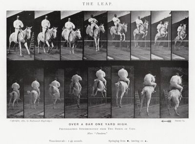 エドワード・マイブリッジ跳躍」（モノクロ写真 作： Eadweard Muybridge