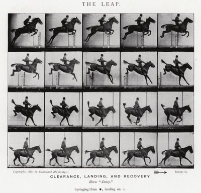 エドワード・マイブリッジ跳躍」（モノクロ写真 作： Eadweard Muybridge