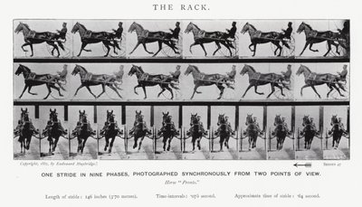 エドワード・マイブリッジラック」（モノクロ写真 作： Eadweard Muybridge