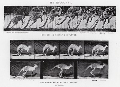 エドワード・マイブリッジリコシェ」（モノクロ写真 作： Eadweard Muybridge