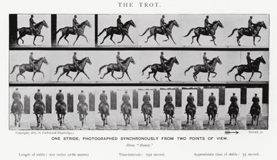 エドワード・マイブリッジザ・トロット（モノクロ写真 作： Eadweard Muybridge