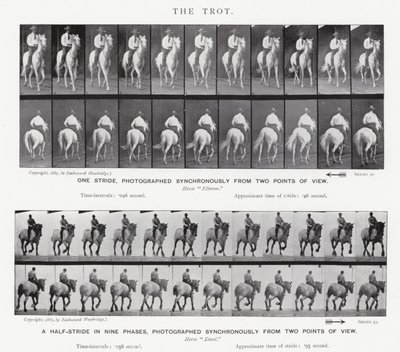 エドワード・マイブリッジ：トロット 作： Eadweard Muybridge