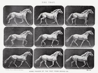 エドワード・マイブリッジ：トロット 作： Eadweard Muybridge