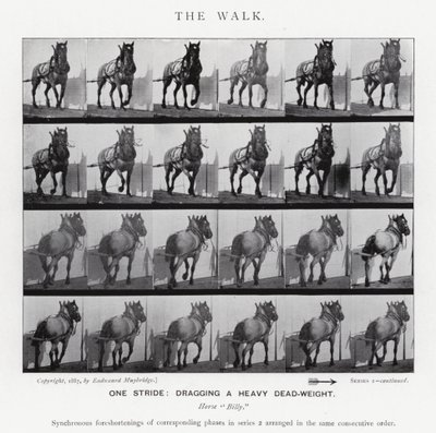 エドワード・マイブリッジザ・ウォーク」（モノクロ写真 作： Eadweard Muybridge