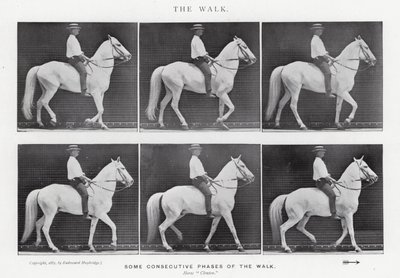 エドワード・マイブリッジザ・ウォーク」（モノクロ写真 作： Eadweard Muybridge