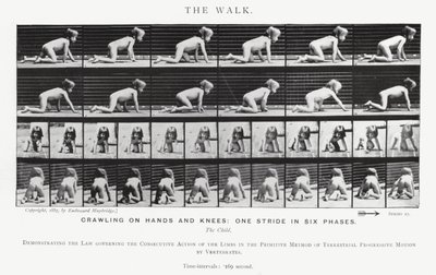 エドワード・マイブリッジザ・ウォーク」（モノクロ写真 作： Eadweard Muybridge