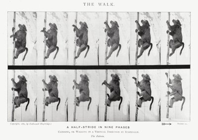 エドワード・マイブリッジザ・ウォーク」（モノクロ写真 作： Eadweard Muybridge