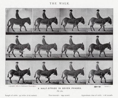 エドワード・マイブリッジザ・ウォーク」（モノクロ写真 作： Eadweard Muybridge