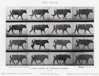 エドワード・マイブリッジザ・ウォーク」（モノクロ写真 作： Eadweard Muybridge