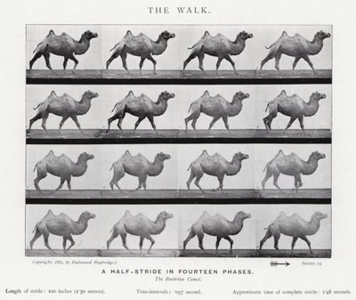 エドワード・マイブリッジザ・ウォーク」（モノクロ写真 作： Eadweard Muybridge