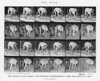 エドワード・マイブリッジザ・ウォーク」（モノクロ写真 作： Eadweard Muybridge