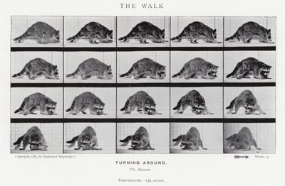 エドワード・マイブリッジザ・ウォーク」（モノクロ写真 作： Eadweard Muybridge