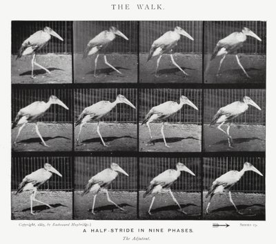 エドワード・マイブリッジザ・ウォーク」（モノクロ写真 作： Eadweard Muybridge
