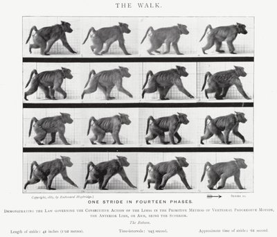 エドワード・マイブリッジザ・ウォーク」（モノクロ写真 作： Eadweard Muybridge