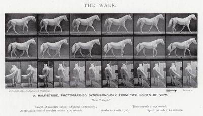 エドワード・マイブリッジザ・ウォーク」（モノクロ写真 作： Eadweard Muybridge