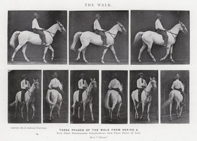 エドワード・マイブリッジザ・ウォーク」（モノクロ写真 作： Eadweard Muybridge