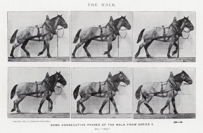 エドワード・マイブリッジザ・ウォーク」（モノクロ写真 作： Eadweard Muybridge