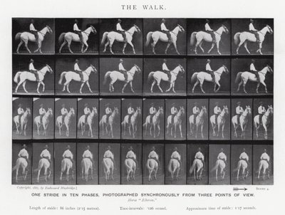 エドワード・マイブリッジザ・ウォーク」（モノクロ写真 作： Eadweard Muybridge