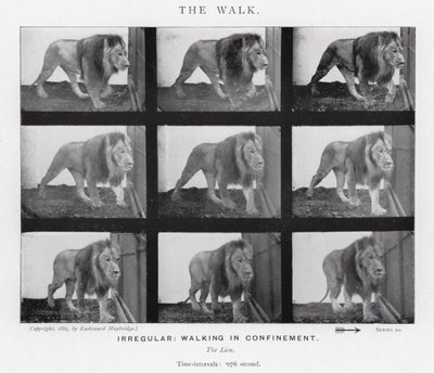 エドワード・マイブリッジザ・ウォーク」（モノクロ写真 作： Eadweard Muybridge