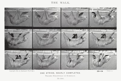 エドワード・マイブリッジザ・ウォーク」（モノクロ写真 作： Eadweard Muybridge