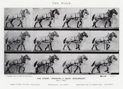 エドワード・マイブリッジ：ザ・ウォーク 作： Eadweard Muybridge