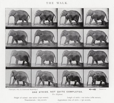 エドワード・マイブリッジ：ザ・ウォーク 作： Eadweard Muybridge