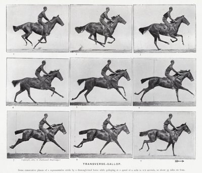 エドワード・マイブリッジトランスバース・ギャロップ（モノクロ写真 作： Eadweard Muybridge