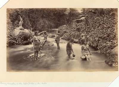 中米太平洋岸とメキシコ、パナマ地峡、グアテマラ、そしてコーヒーの栽培と出荷から、サン・イシドロのコーヒー摘み職人たちの夕べのレクリエーション 作： Eadweard Muybridge
