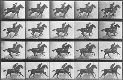 ギャロッピングの馬、「動物の移動」からのプレート628、1887 作： Eadweard Muybridge