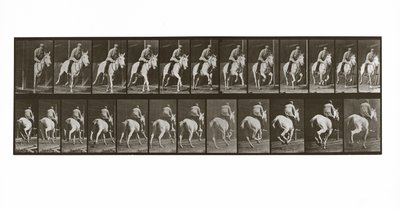 ライダー付きギャロッピングホース、プレート635、アニマルロコモーション、1887年 作： Eadweard Muybridge