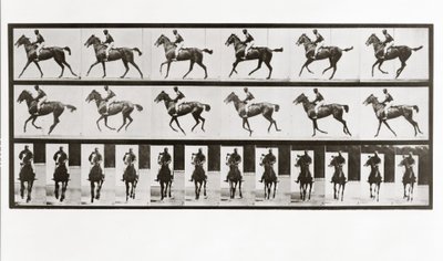 馬とライダー、動物の移動からのプレート621、1887 作： Eadweard Muybridge