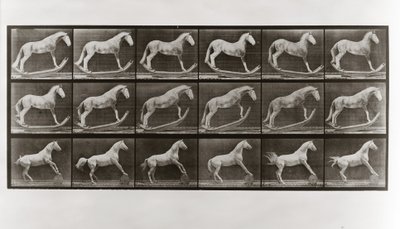 ロッカーの上の馬とバレルを転がしている馬、動物の移動からのプレート649、1887 作： Eadweard Muybridge